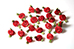 10 roosjes met blaadjes rood