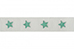 Wit grosgrain lint met glitter sterren
