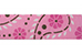 Roze paisley motief grosgrain lint